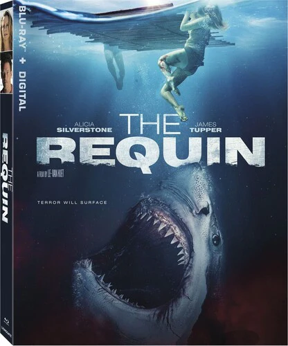 1254-the-requin-2.webp The Requin