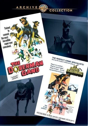 2449-the-doberman-gang-the-daring-dobermans-1.webp The Doberman Gang / The Daring Dobermans