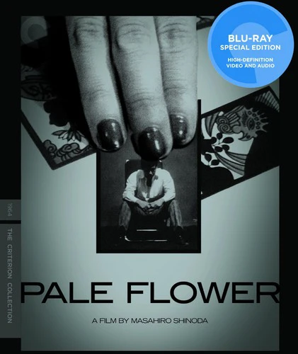2769-pale-flower-criterion-collection--1.webp Pale Flower (Criterion Collection)