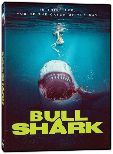 3082-bull-shark-1.webp Bull Shark