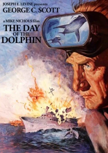 Day of Dolphin