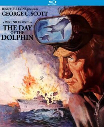 3948-day-of-dolphin-2.webp Day of Dolphin