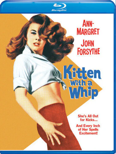4395-kitten-with-a-whip-2.webp Kitten with a Whip