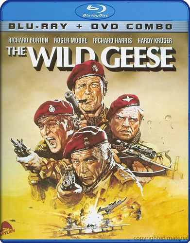 4534-the-wild-geese-2.webp The Wild Geese